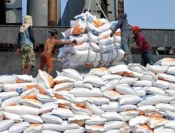 Indonesian Govt To Import Additional 1.6 Million Tons Of Rice