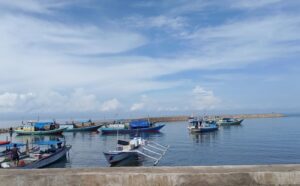 How Indonesia’S Fisheries Products Meet Eu Standards